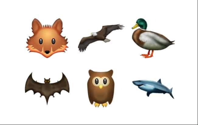 animales-whatsapp
