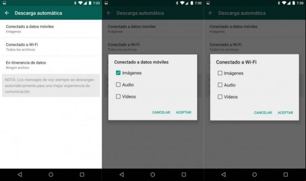 Desconectar la descarga automática