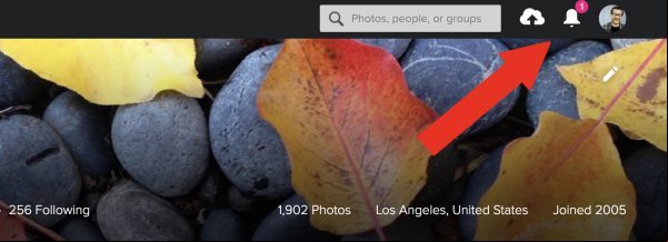 Última llamada: Flickr comienza a borrar tus fotos antiguas mañana