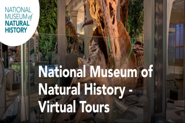 7 museos virtuales que puedes recorrer sin salir de casa
