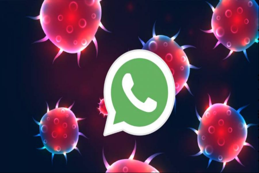 Coronavirus: los mensajes virales de WhatsApp caen un 70%