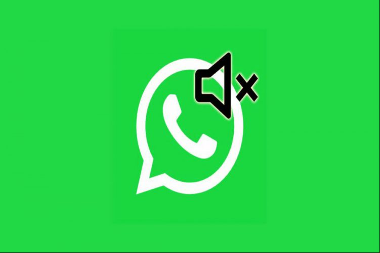 Finalmente WhatsApp podría incluir proximamente una nueva función para silenciar chats para siempre. Por los momentos, la nueva característica se encuentra disponible en su versión beta.