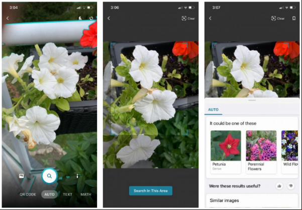 mejores aplicaciones identificación plantas