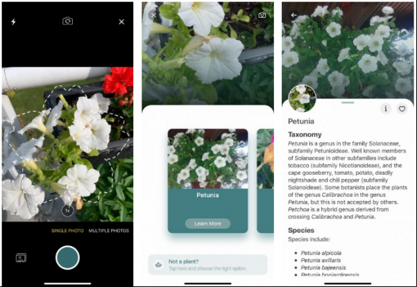 NatureID