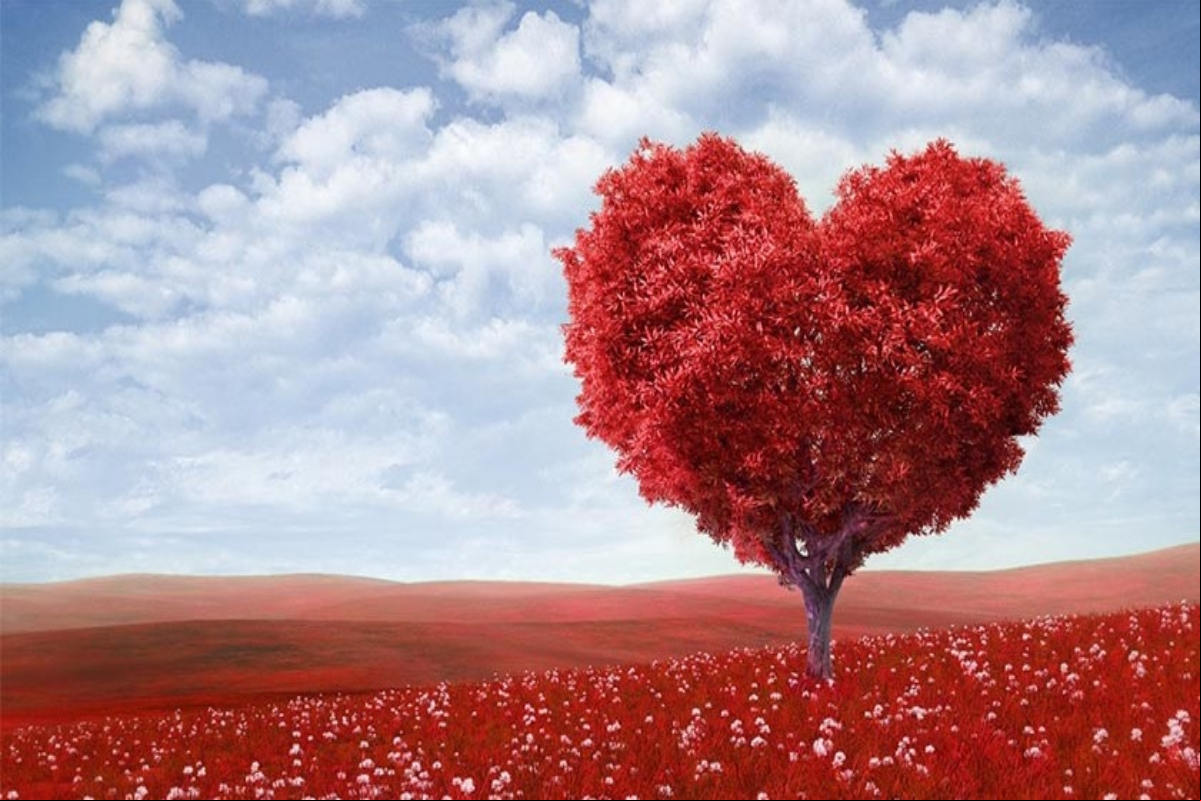 Las mejores aplicaciones de San Valentín para Android. Aplicaciones Android