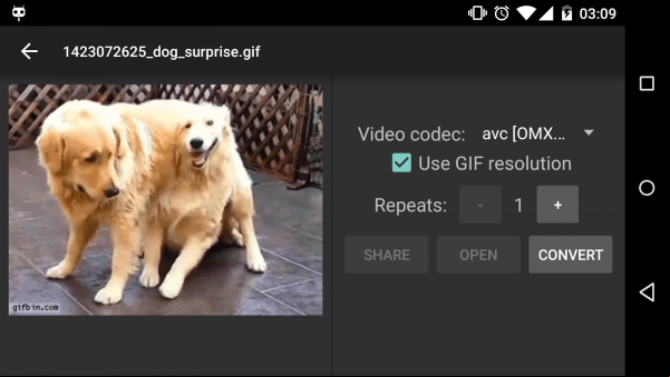 gif-to-video